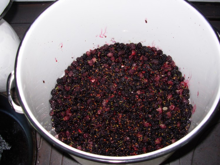 mulberry jelly