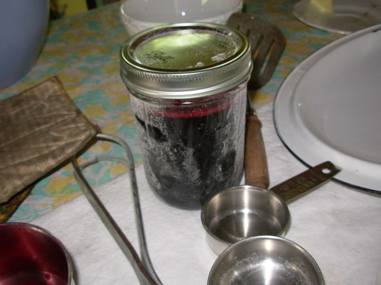 mulberry, raspberry, rhubarb jely